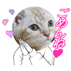 haruru_20250722233200