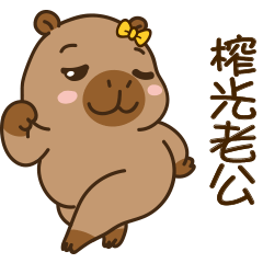 可愛的胖胖的水豚 V12 [叫老公啦]