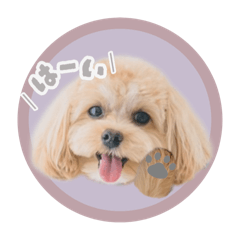 yunomama_20250723222302