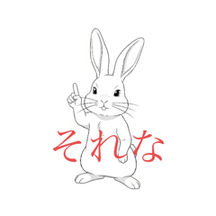 rabbit28