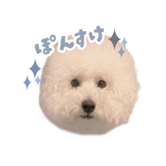 yunomama_20250723223143