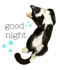 mitsuki_20250723225513