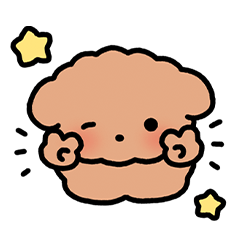 쪼꼬푸들 쪼푸!