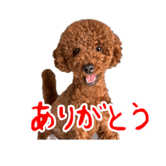 ayu_20250722235739