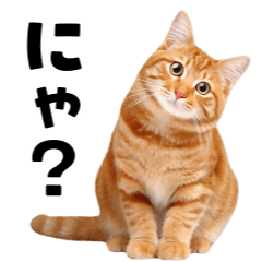 Adorable Animated Cat Photo Stickers