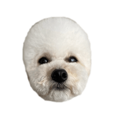 miyuu_20250722132835