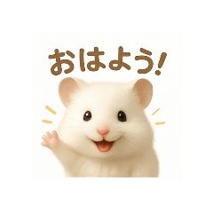 Ayumi_20250723091133