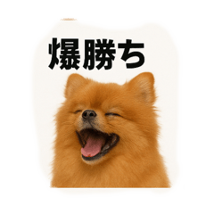 NAKAKEI_20250722202242