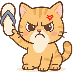 ❤️แมวส้ม มินิมอล❤️