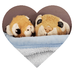 Aichan_20250721133414