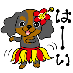 キャバリア達の暑い夏2025.7