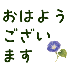 Polite Words & Flowers  Large Text