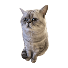 よーだスタンプ vol.2