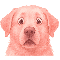 Everything is pink, Pink Mania