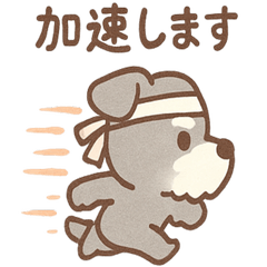 Jiwa Shuna's inner daily stamp
