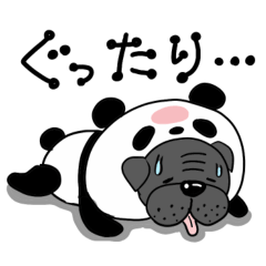 わんこ大集合の暑い夏2025.7