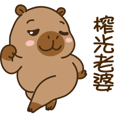 可愛的胖胖的水豚 V13 [叫老婆啦]