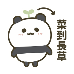 Freshman little panda