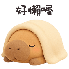 ʕ •͡ᴥ•ʔ 卡皮巴拉拉好懶喔