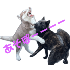 JJ_20250723125835