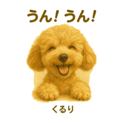 ayu_20250723152751