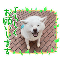 Chihiro_20250723152813