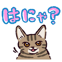 แมวลายสีน้ำตาล!