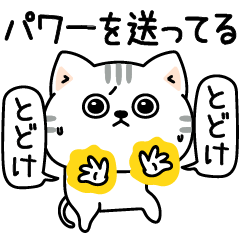 ねこ依存挨拶ポジティブ