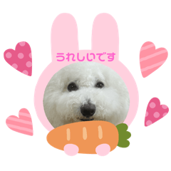 lulu_20250724121708