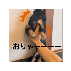 maki_20250724155002