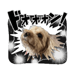 yoshi_20250724213050
