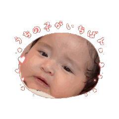 NekotoAoi_20250725100004