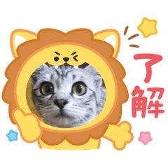 AKIKA_20250723175713