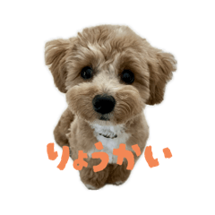 smile_20250723215555