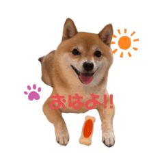 kana_20250724000459