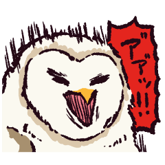 Barn Owl!