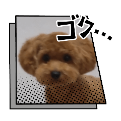 yuina_20250724172938