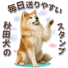 秋田犬の毎日送りやすいスタンプ