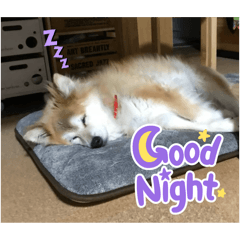 mirei_20250724174123