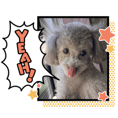 mari mari_20250724023139