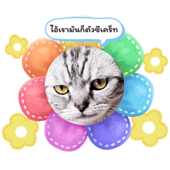 NATASHA.K_20250724194819