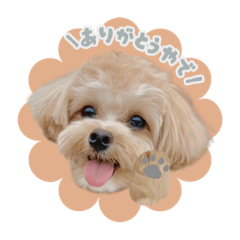 yunomama_20250723202522