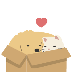 紐約狗狗的動動小黃金