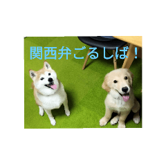 koto_20250723205613