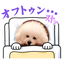 norippe_20250724200235