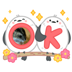 yuzuki_20250724200648