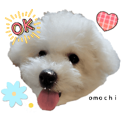 omochi_20250724201505