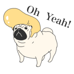 Dress up the pug3