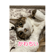 Kana_20250724204711