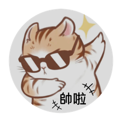 喵生高光時刻